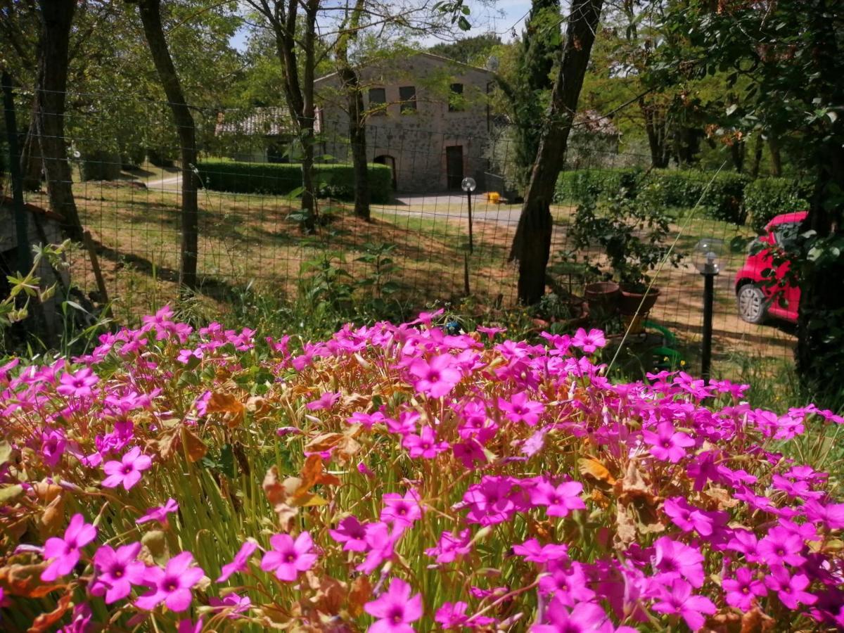 Agriturismo Il Cornalino Castel Viscardo ภายนอก รูปภาพ