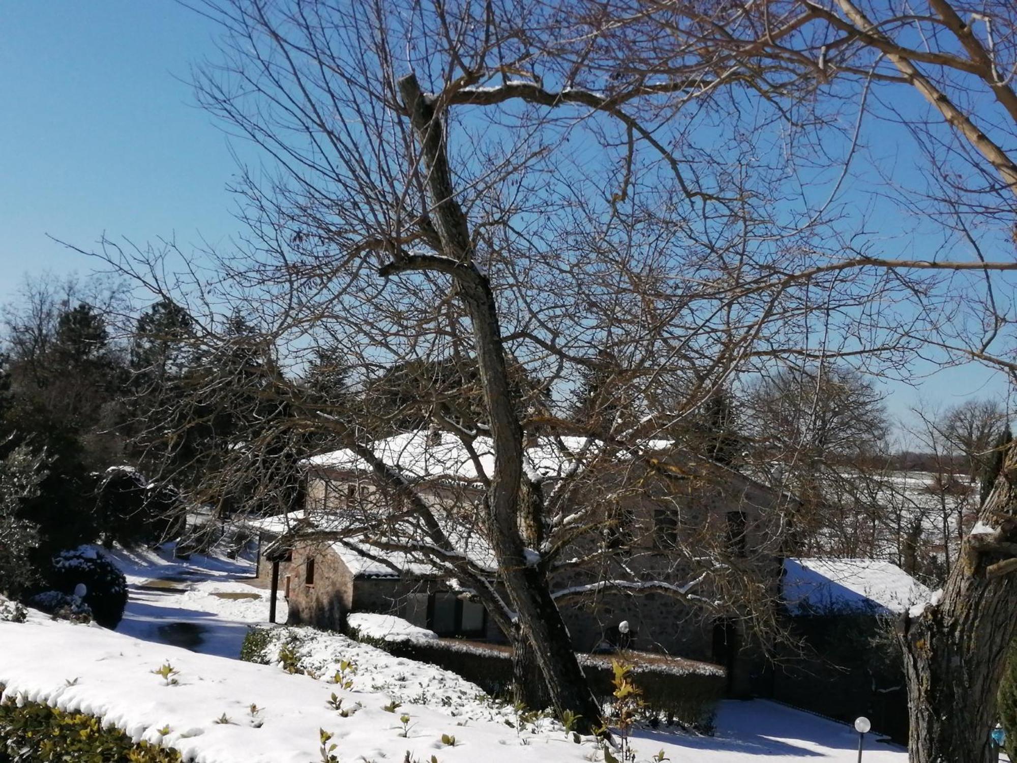 Agriturismo Il Cornalino Castel Viscardo ภายนอก รูปภาพ