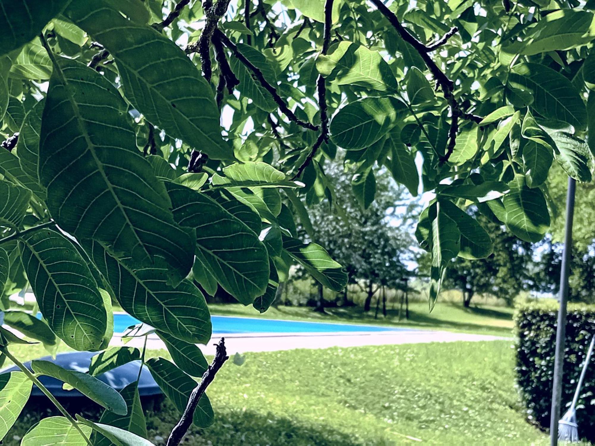 Agriturismo Il Cornalino Castel Viscardo ภายนอก รูปภาพ
