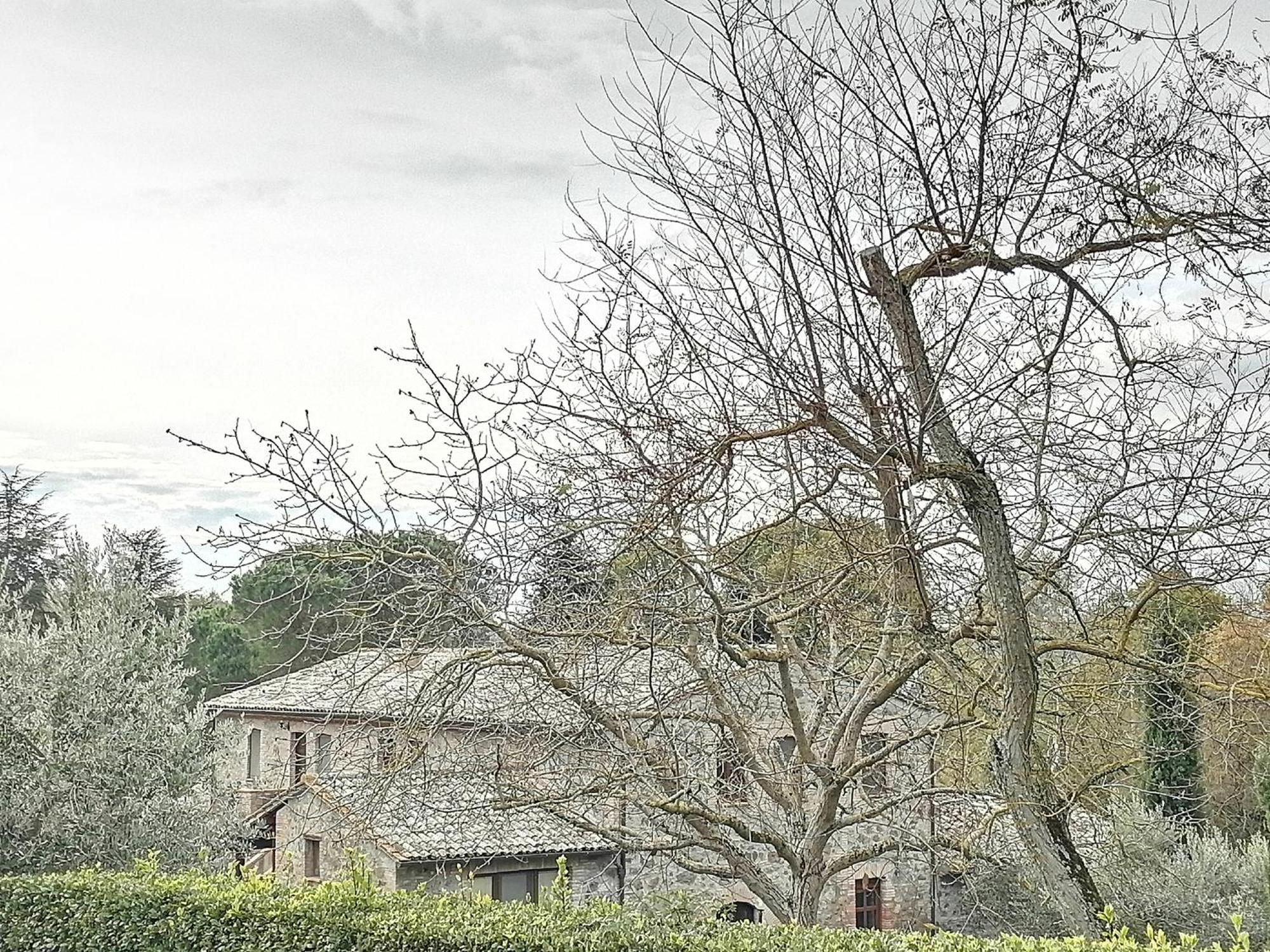 Agriturismo Il Cornalino Castel Viscardo ภายนอก รูปภาพ
