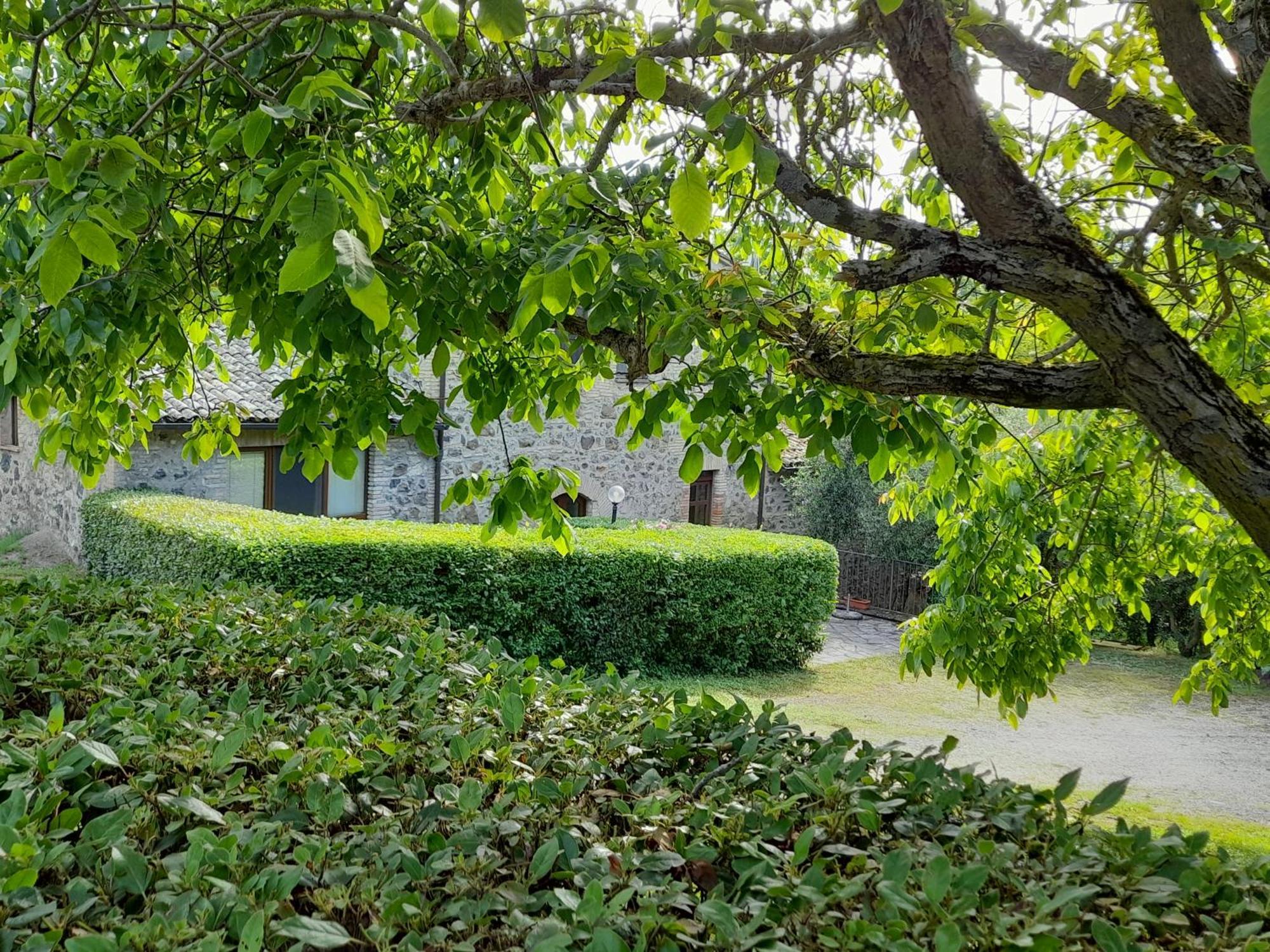 Agriturismo Il Cornalino Castel Viscardo ภายนอก รูปภาพ