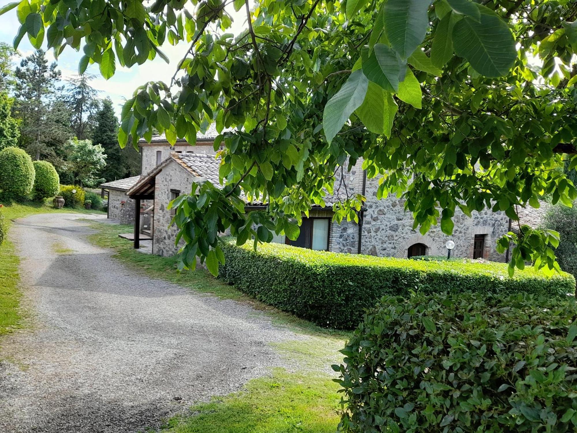 Agriturismo Il Cornalino Castel Viscardo ภายนอก รูปภาพ