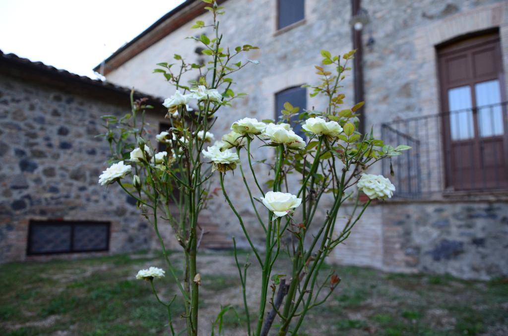 Agriturismo Il Cornalino Castel Viscardo ภายนอก รูปภาพ