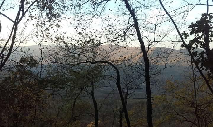 Agriturismo Il Cornalino Castel Viscardo ภายนอก รูปภาพ